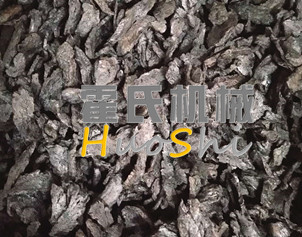 蒸女貞子、黃精體驗