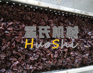 蒸女貞子、黃精體驗